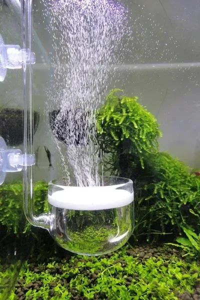 CO2 voor het Aquarium